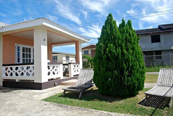 Sue'S Homestay كرايست تشيرش المظهر الخارجي الصورة