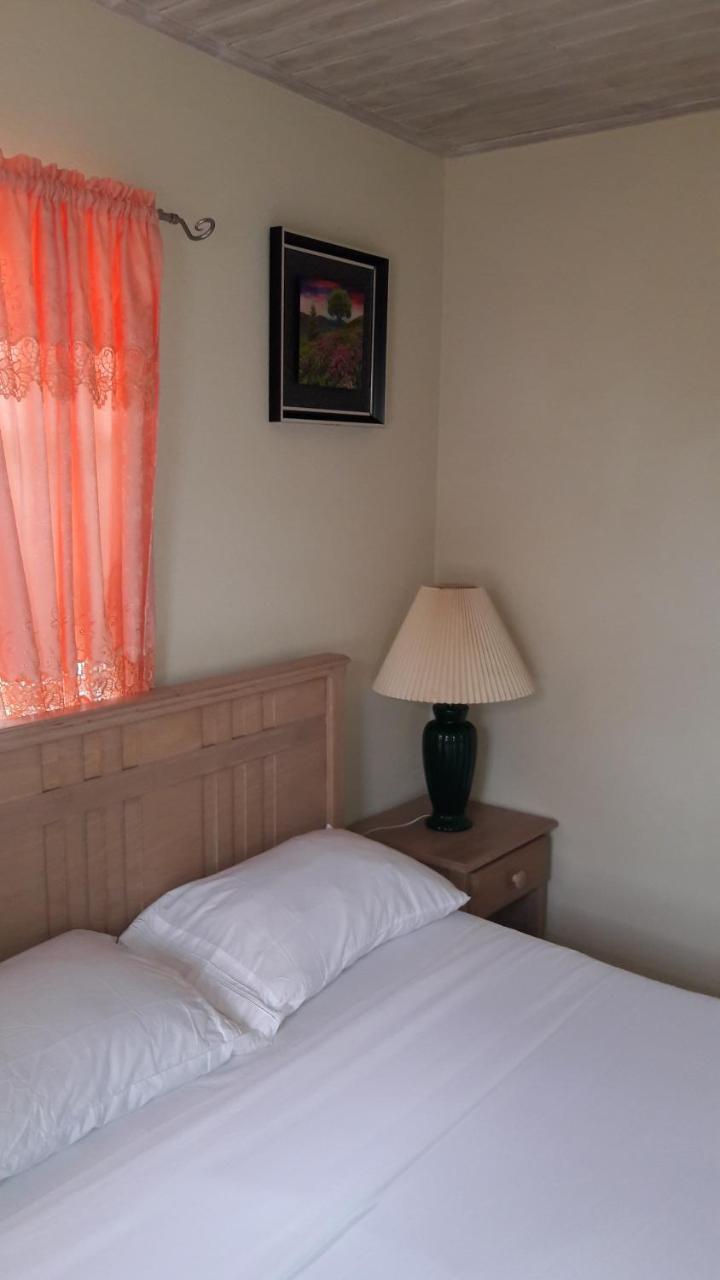 Sue'S Homestay كرايست تشيرش المظهر الخارجي الصورة